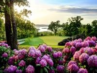 totr-rhododendrum-at-sunset-3