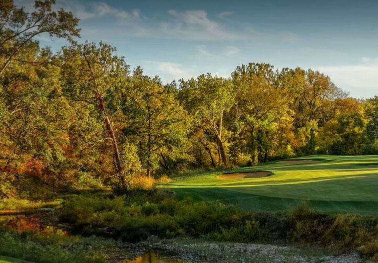 photograph of a golf course