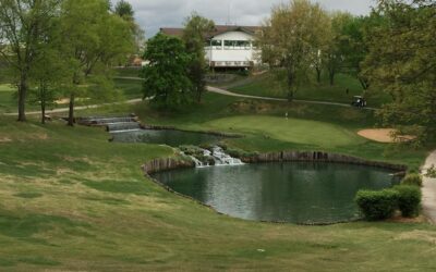 Senior Golfers Take on Tan-Tar-A’s Oaks Course