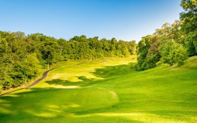 Senior Series Event at Ozark Ridge Golf Course Shows Competitive Field